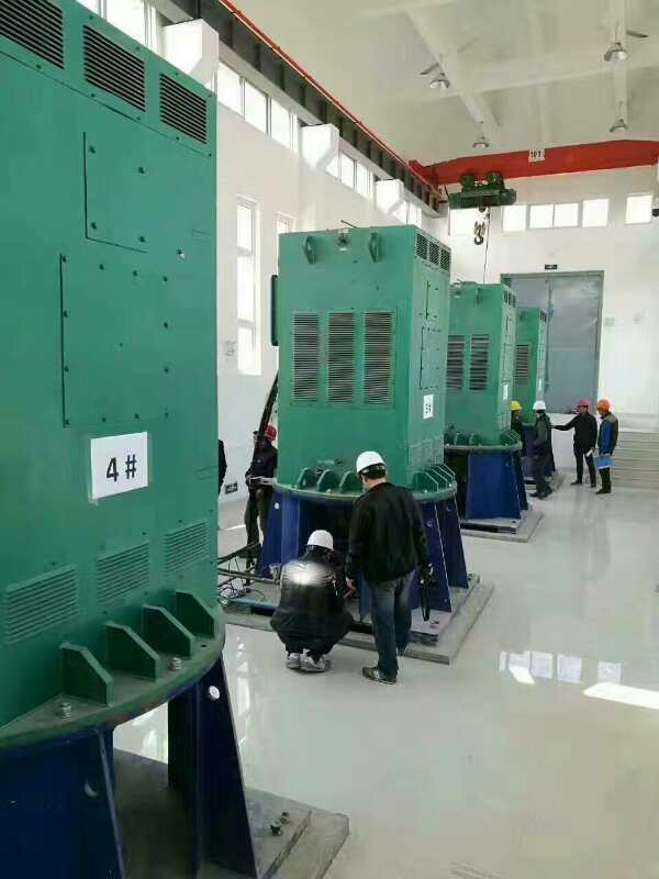 武江某污水处理厂使用我厂的立式高压电机安装现场