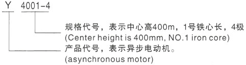 西安泰富西玛Y系列(H355-1000)高压武江三相异步电机型号说明